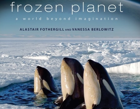 دانلود سریال Frozen.Planet