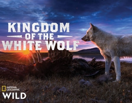 دانلود سریال Kingdom.of.the.White.Wolf
