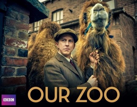 دانلود سریال Our.Zoo