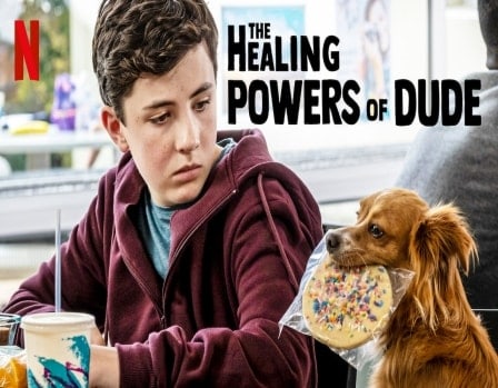 دانلود سریال The Healing Powers Of Dude