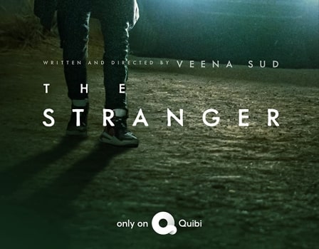 دانلود سریال The Stranger