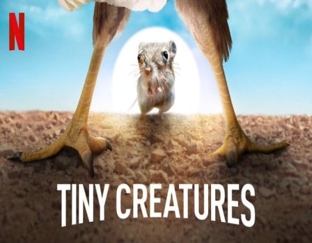 دانلود سریال Tiny Creatures