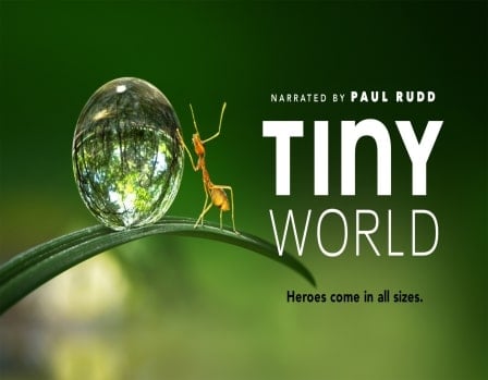 دانلود سریال Tiny.World